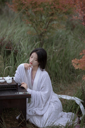 无码H片在线观看网站无禁